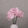 ramo rosa