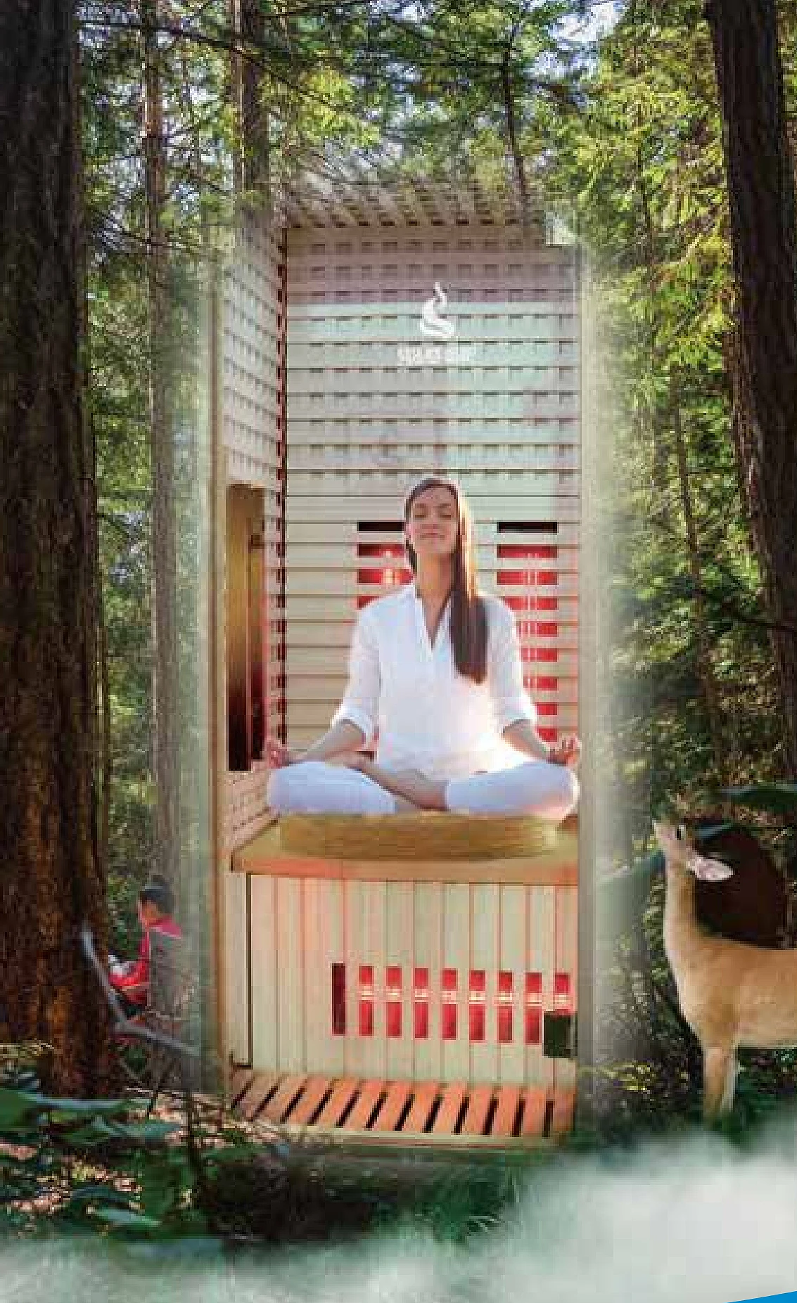 Environmental Protection Negative Oxygen Ion Oxygen Bar Room And