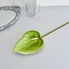 Verde chiaro