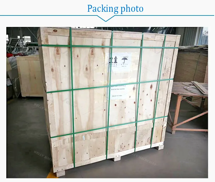 Commercial New Medium Mini Tuna Anchovy Pink Salmon Grouper Whiting