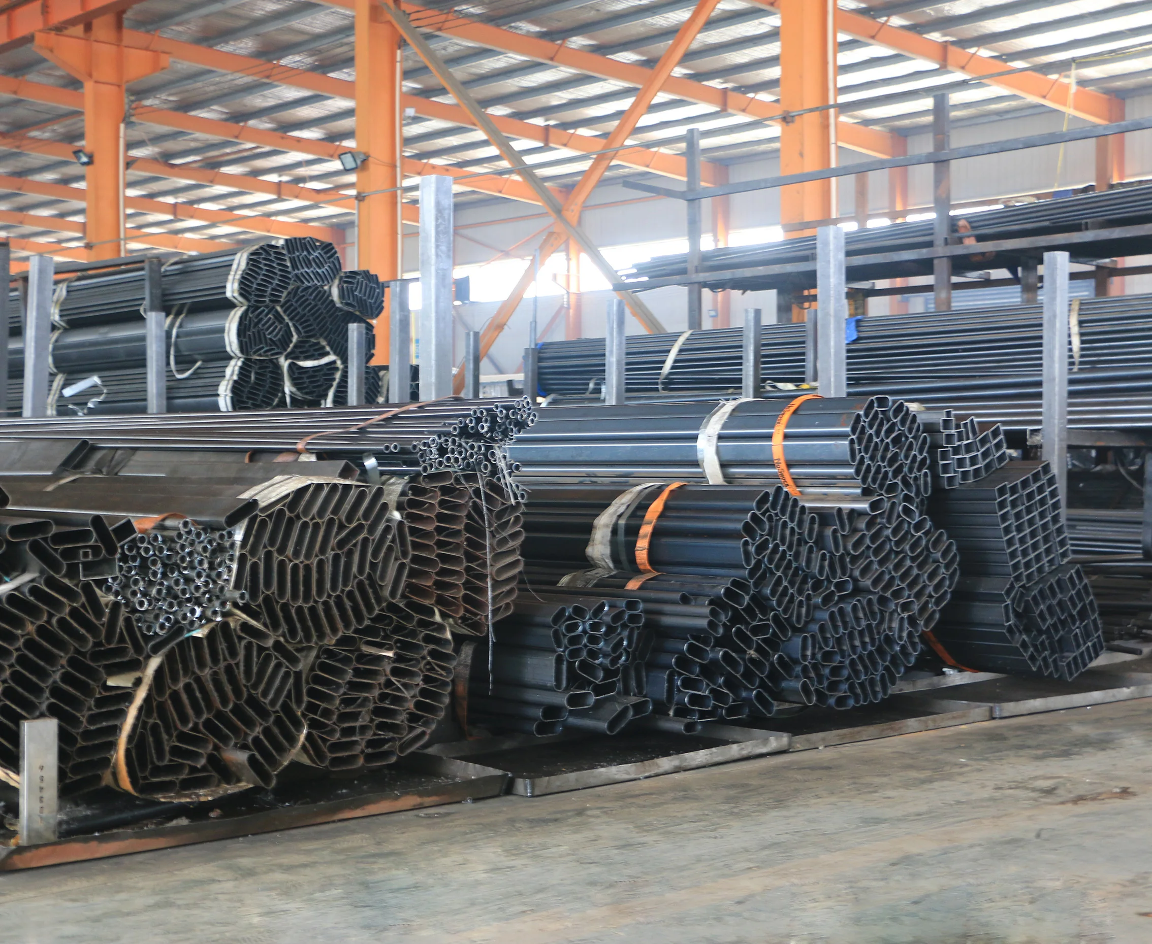 Shandong Dongli Health And Technology Co., Ltd.