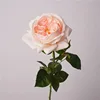 Light pink#2