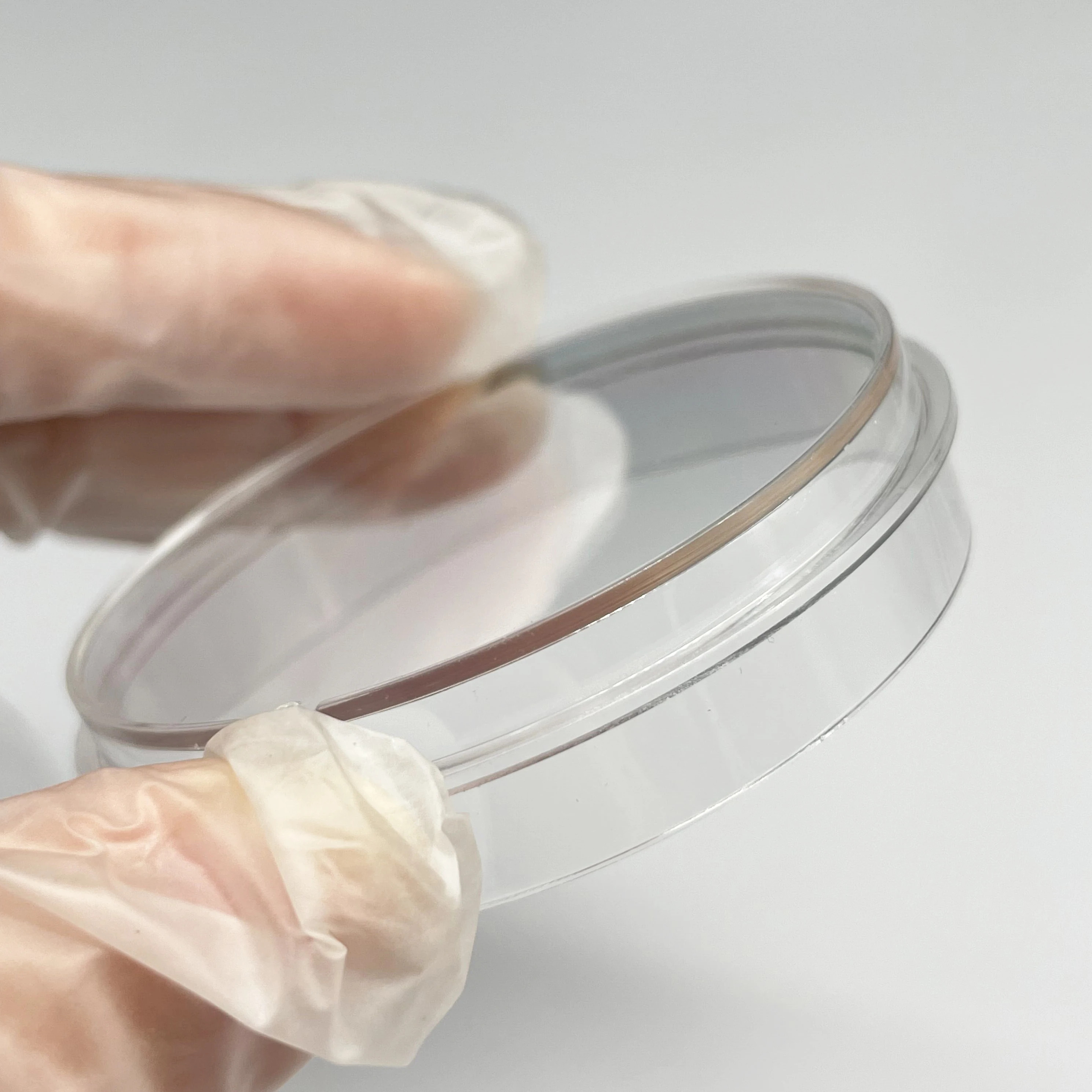 Laboratory Petri Dishes Bacterial Cell Culture Tissue Culturetreated