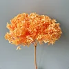Arancione