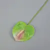 07 verde