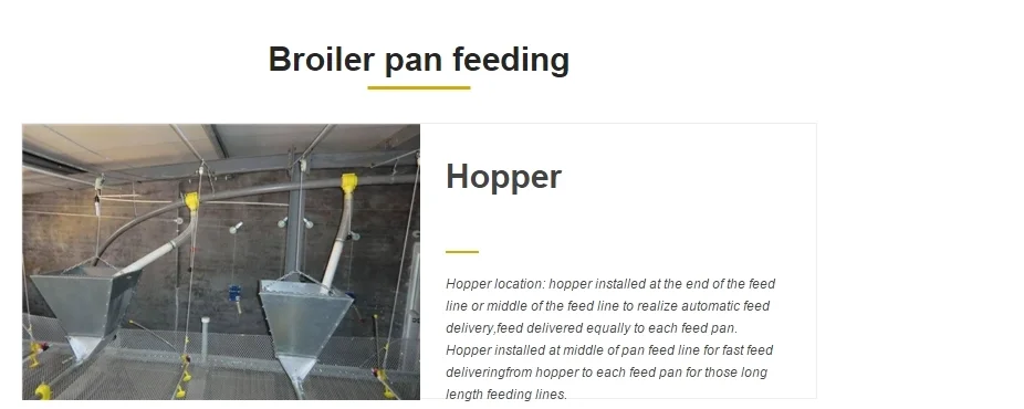 Floor Galvanized Chicken Feeding Line Automatic Feeding Machine For Poultry