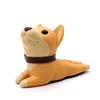 Khaki dog