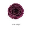 พลัมสี B เกรด8ดอกไม้