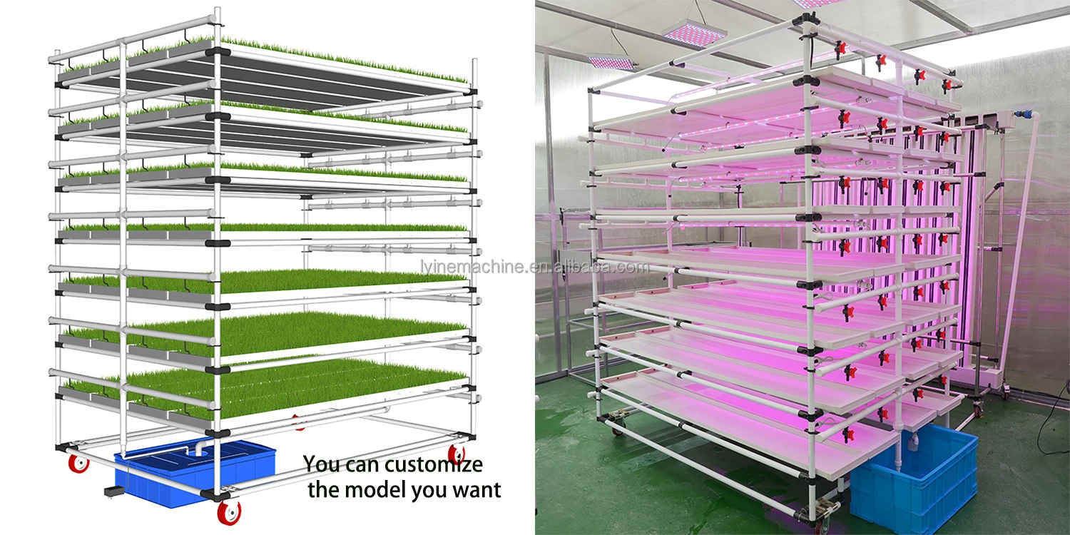 Lyine Greenhouse Hydroponic Microgreen System - Vertical Growing Rack