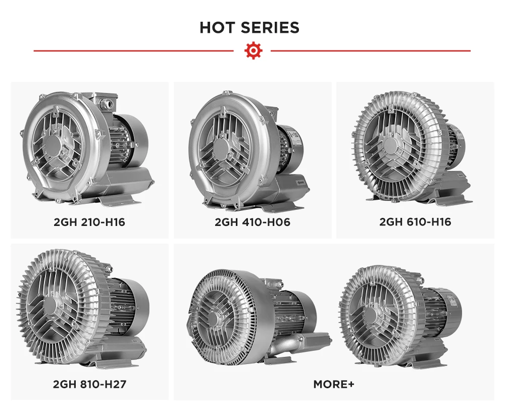 Ring Blower, EDON, 2GH210-H16, 400w, 100 - detail 12