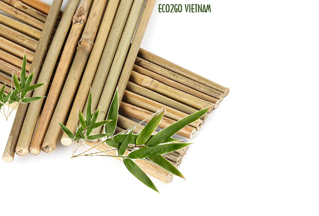 Bestseller 2026 Bambus-Blumensttzstab, 4-8mm Durchmesser, 50-100cm Lnge,  Hergestellt in Vietnam von Eco2go Vietnam| Alibaba.com