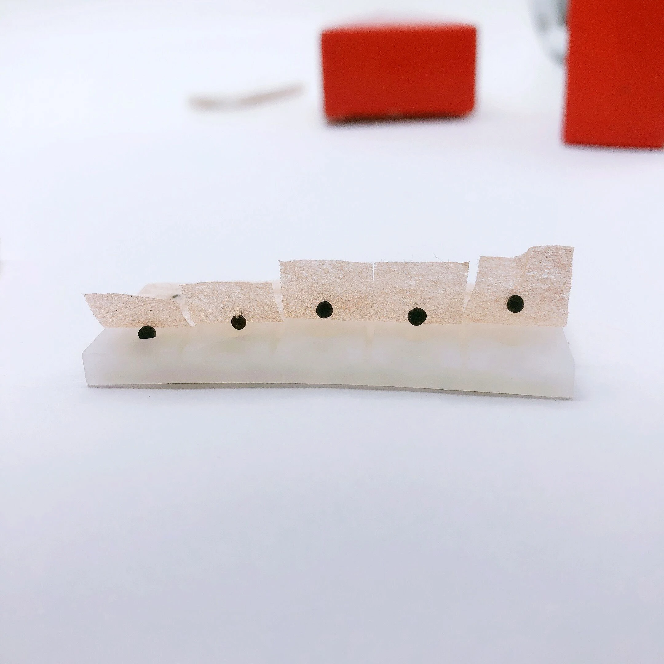 100pcs Auricular Point Therapy Ear Patches Bead Auriculotherapy Acupuncture Ear Seeds Press Pastes No Magnetic Ear Bean Stickers