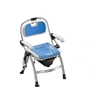 Multi-functional model Blue with toilet bowl