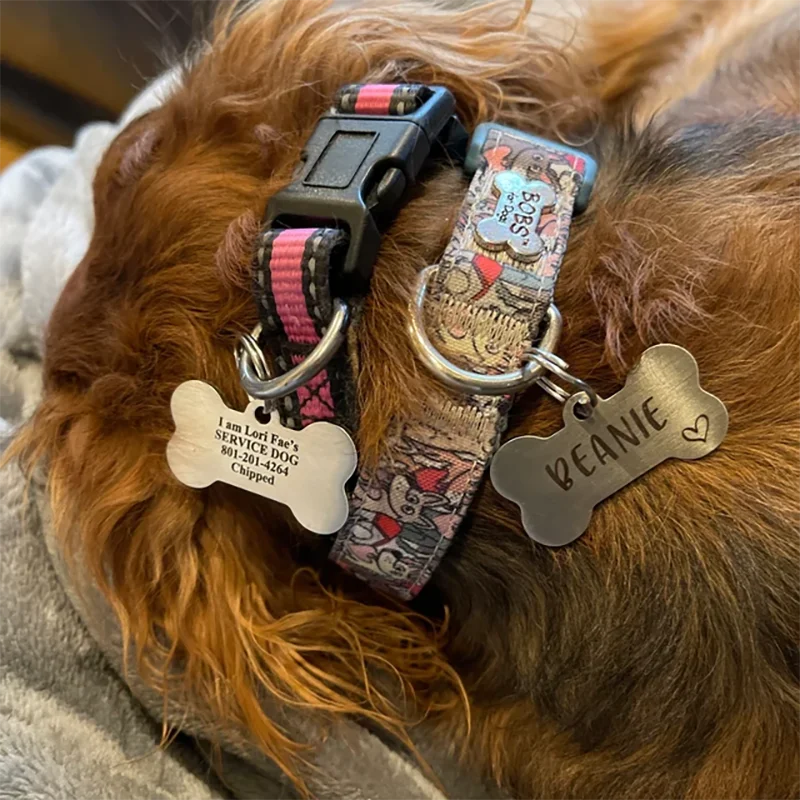 Personalised Puppy Dog Name Tag Stainless Steel Silencer Sublimation