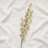 4#