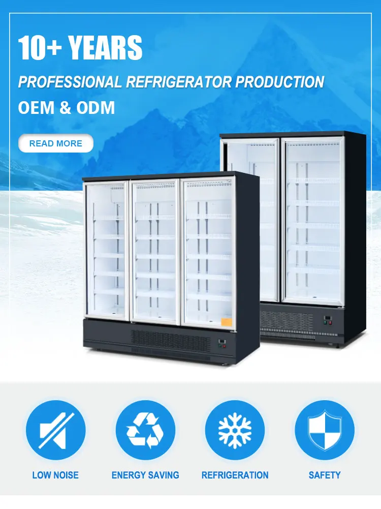 Drug Pharmacy Specialized Upright Display Refrigerator Cooler