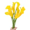 Calla yellow-1 tie 10 branches