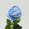 สีฟ้า