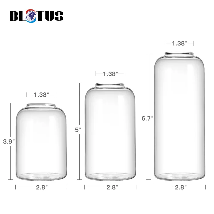 Bud Vases Glass Set,Clear Small Serene Spaces Living Vase Set Of 6 For