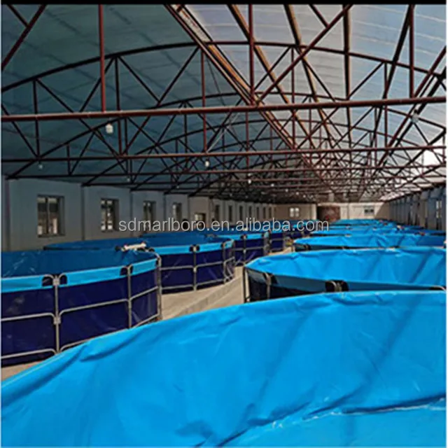 Custom Dimensions Indoor Tilapia Fish Farming Tanks - Large Freshwater ...
