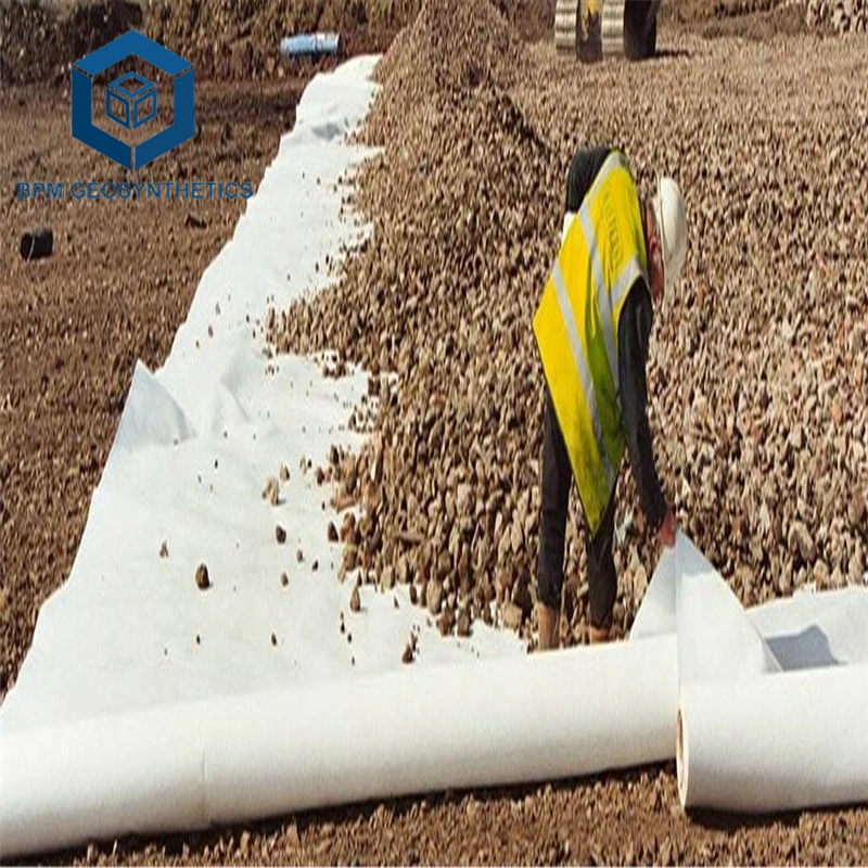 Soil Stabilization Geotextile Fabric Polyester Filament Continuous Geotextile Filter Cloth 200g 250g Geo Fabric for Driveway