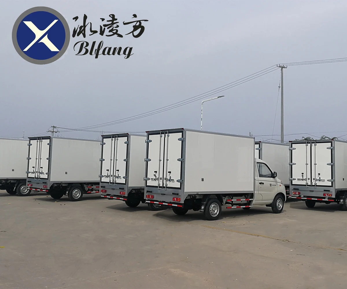Foton 4x2 1T Mini Refrigerator Truck Customization Transport Vegetable Freezer Small Refrigerated Truck for Sale