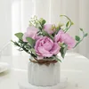 Pourpre