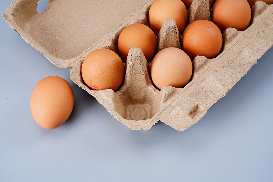 High Quality 12 Cells Egg Cartons Compostable Chicken Cardboard Holder