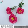 3-headed fuzzy hibiscus BD rose red