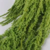 Frutta Verde