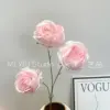 capullo de rosa