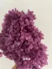 uva morada