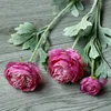 Rosso porpora