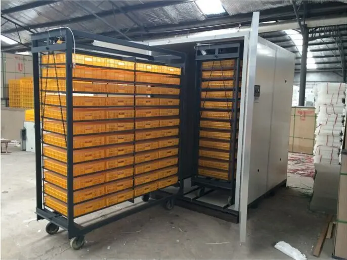 Large 10000 Egg Incubator New Commercial Chicken Goose Ostrich Duck Turkey Egg Incubator for Sale 220V