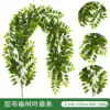 Glue-coated elm leaves and vines