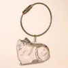 transparente 2