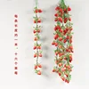 1 meter long, 16 strawberries with leaves