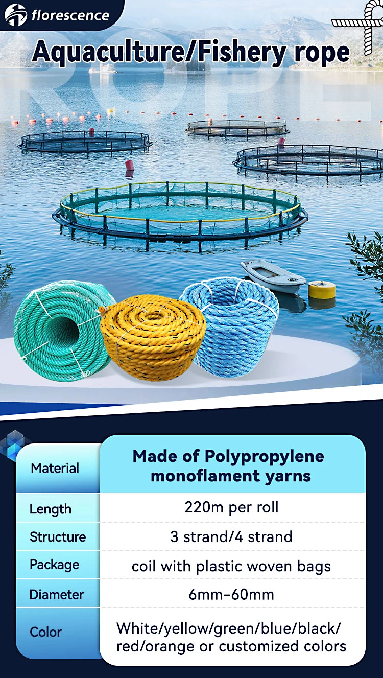 Twisted 3 Strands Polypropylene pp Danline Rope 10mm Packaging Rope for Fishing 0