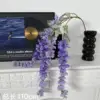 Purple aberle