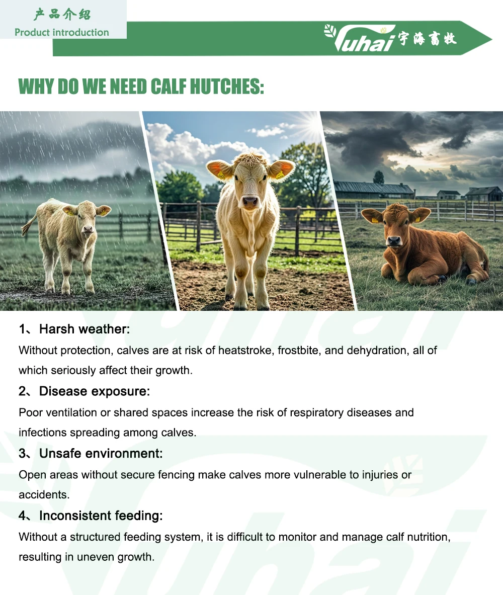 product yuhai yh af l102 new outdoor calf hutch shelter fence ventilation heavy duty design 6l feeding bucket for dairy farms-0