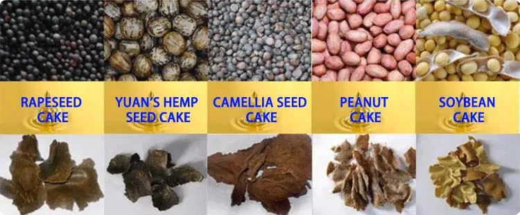 Промышленная машина для холодного отжима оливкового масла ценовые прессы винтовой пресс