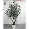 11#(Artificial olive tree deposit)