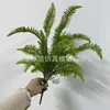 7-headed cat's tail Persian grass