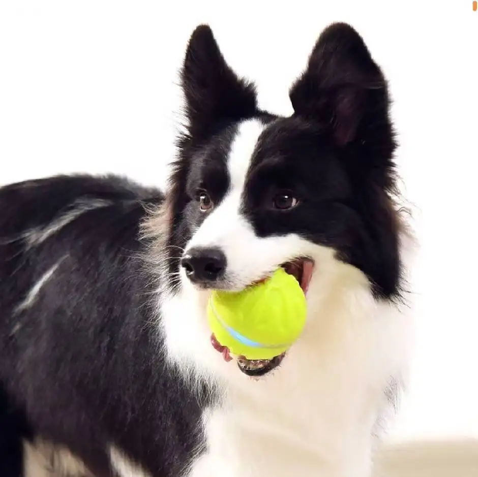 Remote Control Led Light Type-C Charging Electronic Rubber Smart Dog Toy Ball Electronic Interactive