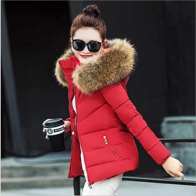 2020 New Slim Hooded Jacket Korean Style Fur Collar Plus Size ...