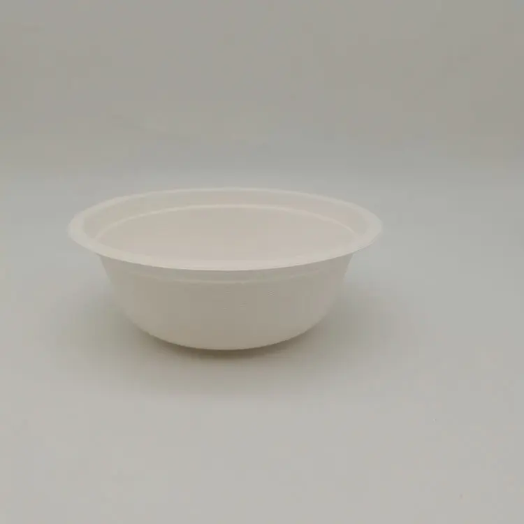 bagasse bowl (17).jpg