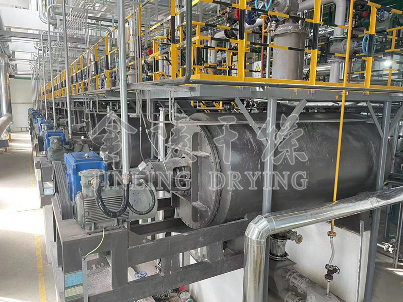 Mechanical Seal Jacket Heating Chemical Vacuum Paddle Dryer Buy