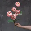 6 Dreamy Dew Lotus Salmon Colors