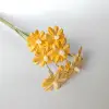Naranja 10 pcs/bundle