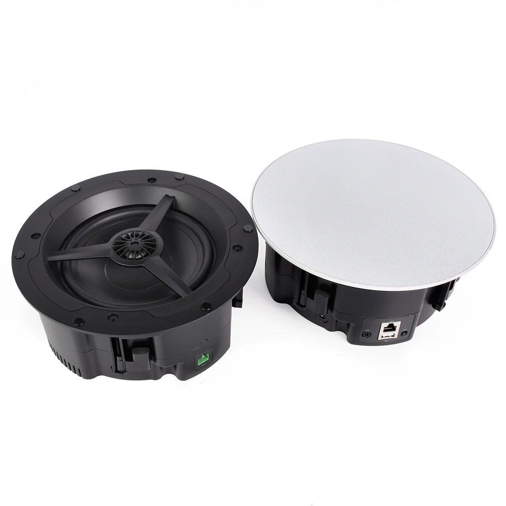 Wireless in-Ceiling Speakers Elevate Your Home Theater